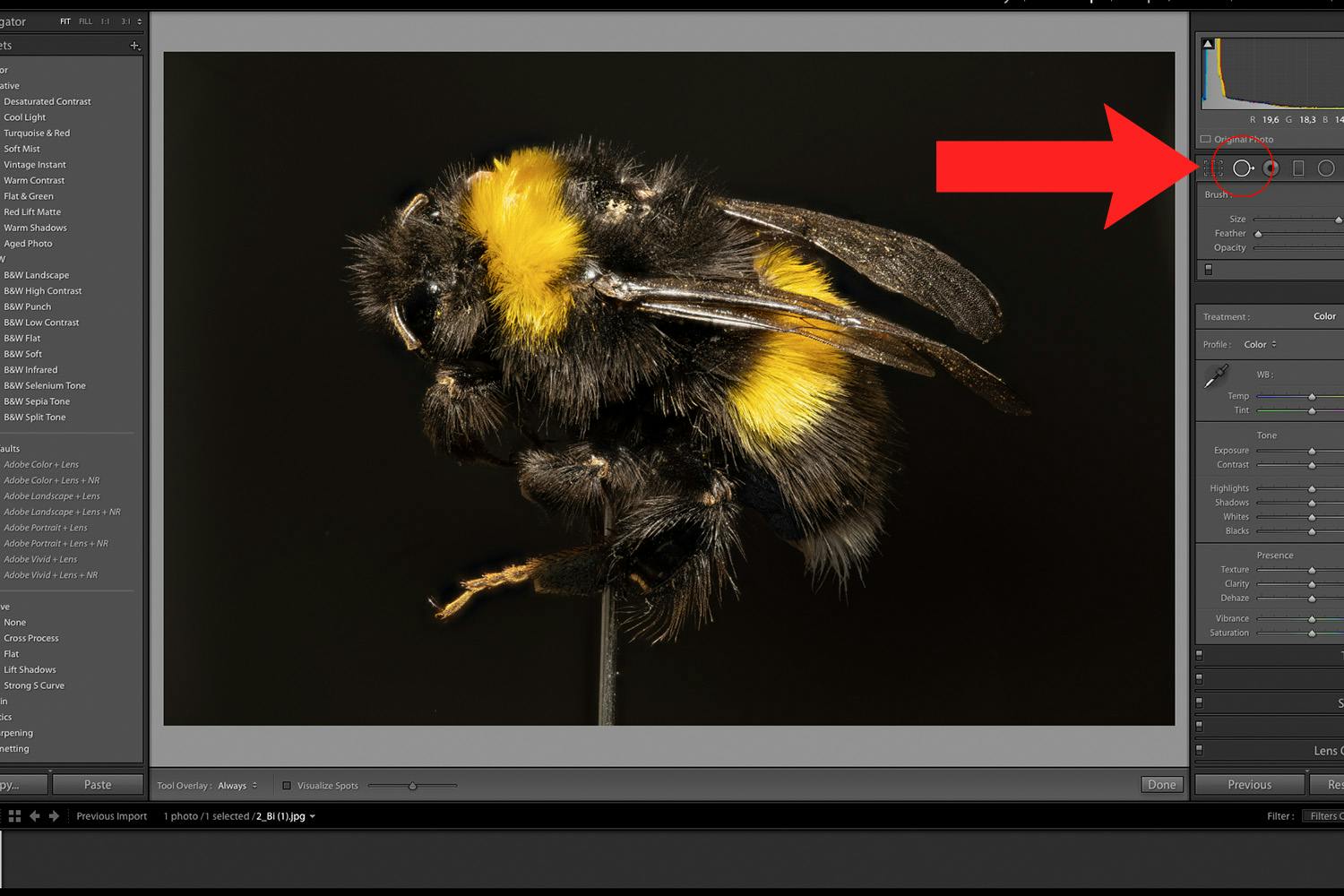 Behandling av humle i Lightroom